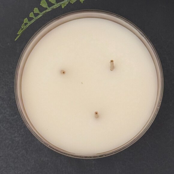 BBW Hot Pink Cocoa White Barn Bath & Body Works 3 Wick Candle - Picture 7 of 10